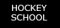Adult Hockey School