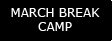 Youth March Break Camp
